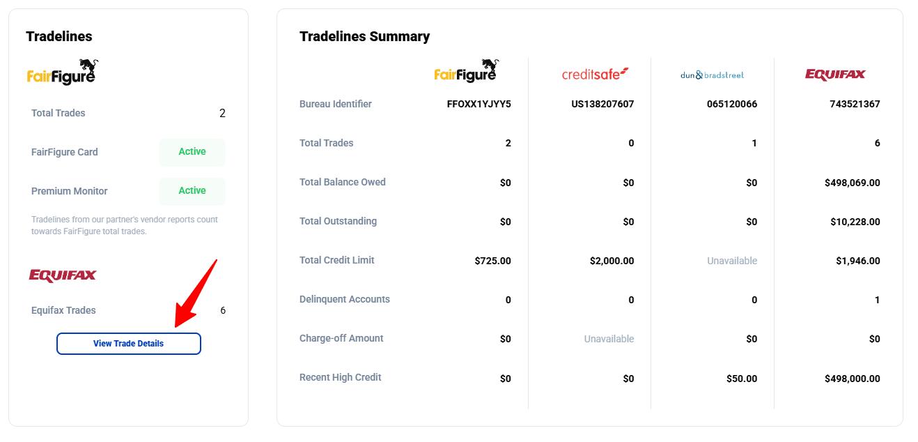 Equifax Business Credit Report Details