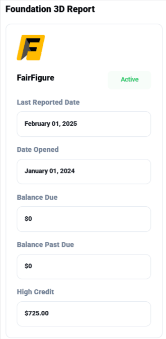 Foundation 3D Report