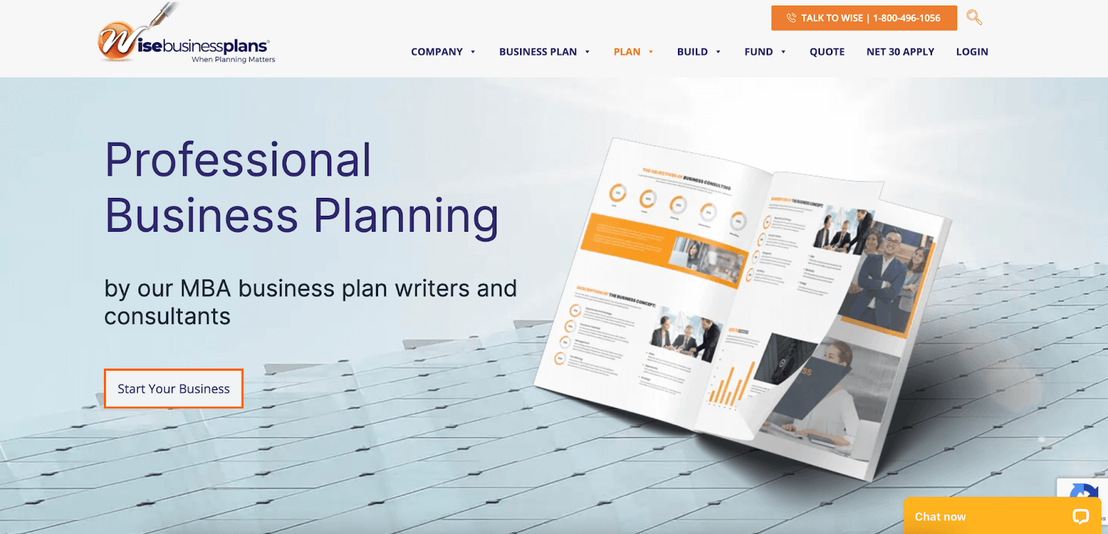 wise business plans net 30